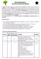 Vorschau - Arbeitsblätter - Baumtagebuch- Jahr im Leben eines Baumes +Selbstreflexion - Seite 1