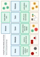 Vorschau - Arbeitsblätter - Ionen & Salze - Legekarten, Domino und Tabelle - Seite 1