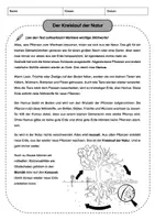 Vorschau - Arbeitsblätter - Der Komposthaufen - Der Kreislauf der Natur (Stunde 1) - Seite 3
