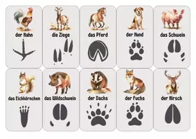 Vorschau - Spiele - Nutz- und Waldtiere mit Spuren | Lernkarten & Zuordnungsspiel für Kindergarten & Vorschule - Seite 2
