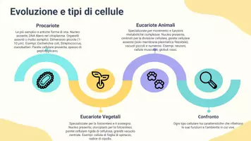anteprima - Presentazioni / Lavagne - Distinguere le caratteristiche delle cellule eucariote animali rispetto a quelle vegetali e procariote seco - Pagina 3