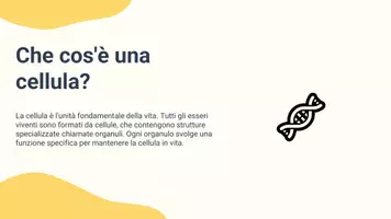 anteprima - Presentazioni / Lavagne - Analizzare le principali strutture cellulari (nucleo, mitocondri, membrana plasmatica) e le loro funzioni - Pagina 2