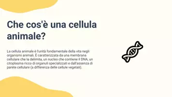 anteprima - Presentazioni / Lavagne - Interpretare immagini al microscopio riconoscendo organuli specifici della cellula animale - Pagina 2