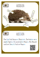 Vorschau - Unterrichtsreihen - Igel Werkstatt / Stationen Texte und Lapbook für die 1. Klasse - Seite 3