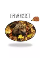 Vorschau - Unterrichtsreihen - Igel Werkstatt / Stationen Texte und Lapbook für die 3. und 4. Klasse - Seite 1