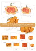 Vista previa - Juegos / Gamificación - LA CALABAZA: Partes. - Portada
