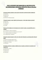 anteprima - Quiz - Quiz: Interpretare immagini al microscopio riconoscendo organuli specifici della cellula animale - Pagina 2