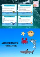 Vorschau - Stationenlernen - Abschreibkartei - Meerestiere - 16 Tiere - Deckblatt