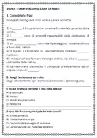 anteprima - Esercizi - Analizzare le principali strutture cellulari (nucleo, mitocondri, membrana plasmatica) e le loro funzioni - Pagina 1