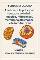 anteprima - Esercizi - Analizzare le principali strutture cellulari (nucleo, mitocondri, membrana plasmatica) e le loro funzioni - Pagina di copertina