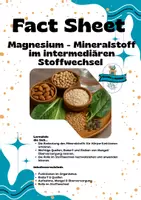 Vorschau - Merkblätter - Fact Sheet - Magnesium - Mineralstoff im intermediären Stoffwechsel - Deckblatt