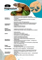 Vorschau - Merkblätter - Fact Sheet - Magnesium - Mineralstoff im intermediären Stoffwechsel - Seite 1