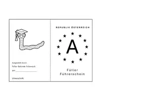 Vorschau - Spiele - Füller_Führerschein - Deckblatt