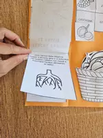 anteprima - Esercizi - 🍁 Lapbook sull’Autunno - Pagina 2