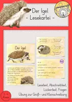 Vorschau - Stationenlernen - Lesekartei Igel Lesen Verstehen Abschreiben #edukiquiz - Deckblatt