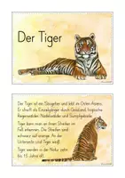 Vorschau - Stationenlernen - Lesekartei Löwe Lesen Verstehen Abschreiben #edukiquiz - Seite 3