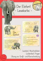 Vorschau - Stationenlernen - Lesekartei Elefant Lesen Verstehen Abschreiben - Deckblatt