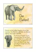 Vorschau - Stationenlernen - Lesekartei Elefant Lesen Verstehen Abschreiben - Seite 3