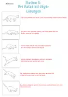 Vorschau - Stationenlernen - Die Katze: Stationsarbeit/Lerntheke | Unterrichtsreihe "Tiere in unserem Umfeld", Biologie, 5./6. Klasse - Seite 3