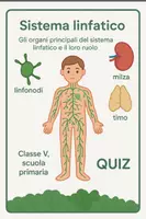 anteprima - Quiz - Gli organi principali del sistema linfatico - Pagina di copertina