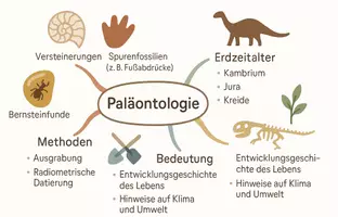 Vorschau - Arbeitsblätter - AB mit Fragen zum Thema "Paläontologie" + Lösungsblatt + Mindmap + Infografik - Seite 2