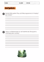 Vorschau - Arbeitsblätter - Ökosystem Wald: Einführung - Biodiversität, Funktionen, Schutz - Seite 3