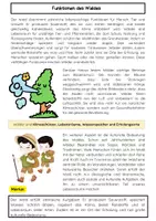 Vorschau - Arbeitsblätter - Funktionen des Waldes: Aufgaben und Lückentext - Seite 1
