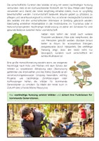 Vorschau - Arbeitsblätter - Funktionen des Waldes: Aufgaben und Lückentext - Seite 2
