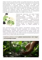 Vorschau - Arbeitsblätter - Schutz des Waldes: Naturschutz und Klimawandel - Seite 3