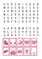 Vorschau - Stundenentwürfe - Streichholzschachtelwörter ORGANE - Seite 1