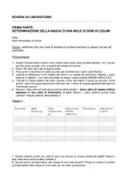 anteprima - Esperimenti - Attività pratica: determinazione di una mole di semi - Pagina 1