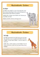 Vorschau - Stationenlernen - Abschreibkartei - Zootiere - 22 Tiere - Seite 1