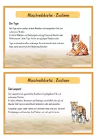 Vorschau - Stationenlernen - Abschreibkartei - Zootiere - 22 Tiere - Seite 3