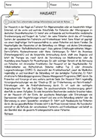 Vorschau - Arbeitsblätter - Hausarzt Beruf Arbeitsblätter mit Fragen + Lösungen Deutsch DaZ AB - Seite 1
