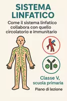 anteprima - Piani di lezione - Come il sistema linfatico collabora nell'organismo - Pagina di copertina