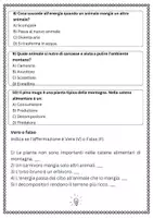 anteprima - Esercizi - SL catene alimentari animali montani - Pagina 3