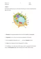 Vorschau - Test - Biologieklausuren Einführungsphase - Deckblatt
