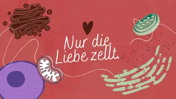 Vorschau - Stundenentwürfe - Zellorganellen Speed-Dating *Nur die Liebe zellt* - Seite 1