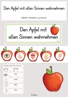 Vorschau - Stundenentwürfe - MEGA Materialpaket: Sachunterricht Klasse 1 & 2 - Seite 1