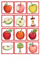 Vorschau - Spiele - Apfel Materialpaket für KIGA & Vorschule - Seite 1
