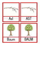 Vorschau - Anderer Materialtyp - Apfel Nachspur- und Abschreibkartei - Seite 2