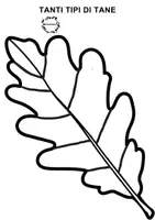 anteprima - Esercizi - Corsivo - famiglia delle tane - Pagina 2