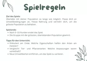 Vorschau - Spiele - Evolution Spiel - Seite 1