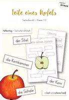 Vorschau - Arbeitsblätter - Teile eines Apfels - Sachunterricht GS 1 - Deckblatt