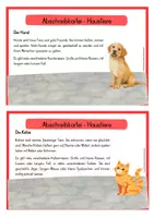 Vorschau - Stationenlernen - Abschreibkartei - Haustiere - 12 Tiere - Seite 3