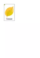 anteprima - UdA - Il ladro di foglie – Laboratorio STEAM - Pagina 3