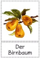 Vorschau - Präsentationen/Tafelbilder - Herr von Ribbeck auf Ribbeck im Havelland - Theodor Fontane - Balladen - Seite 3