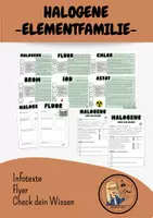 Vorschau - Stationenlernen - Halogene Elementfamilie - Deckblatt