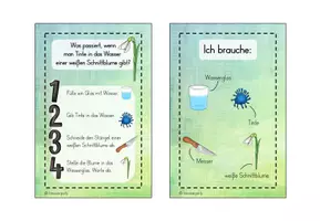 Vorschau - Aufgabenkarten - Tinte und Schnittblume - Anleitung/Material - Seite 1