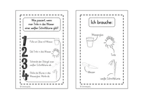 Vorschau - Aufgabenkarten - Tinte und Schnittblume - Anleitung/Material - Seite 2